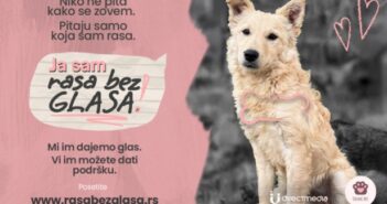 „Rasa bez glasa“: Direct Media poziva na podršku napuštenim životinjama